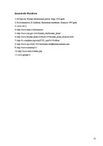 Biznesa plāns 'Biznesa plāns IK "Butterfly"', 20.