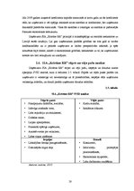 Diplomdarbs 'SIA "Kristīne RR" personālvadība', 28.