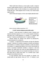 Diplomdarbs 'SIA "Kristīne RR" personālvadība', 39.