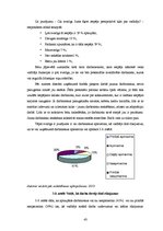 Diplomdarbs 'SIA "Kristīne RR" personālvadība', 43.