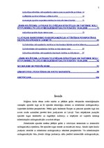 Diplomdarbs 'Eiropas un Latvijas sabiedrisko raidorganizāciju problēmas un attīstības perspek', 3.