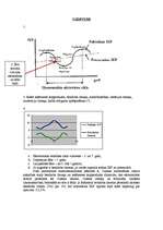 Konspekts 'Izpildītie uzdevumi makroekonomikā', 1.