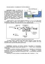 Referāts 'Puscaurlaidīgas membrānas', 3.