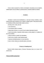 Referāts 'Amatpersonas, kuras veic kriminālprocesu', 6.