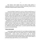 Referāts 'Amatpersonas, kuras veic kriminālprocesu', 7.