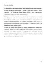 Referāts 'Mazo un vidējo uzņēmumu loma uzņemējdarbības vides veidošanā', 12.