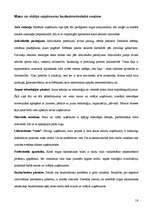 Referāts 'Mazo un vidējo uzņēmumu loma uzņemējdarbības vides veidošanā', 13.