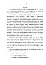 Referāts 'Produktu izpārdošanas organizēšanas politika un tās lietderība apavu biznesā Lat', 3.