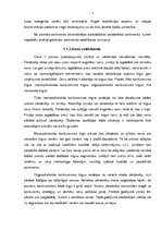 Referāts 'Produktu izpārdošanas organizēšanas politika un tās lietderība apavu biznesā Lat', 7.