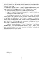 Referāts 'Nabadzība kā sociāla problēma Latvijā', 15.