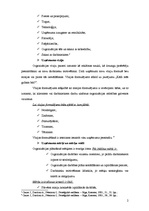 Konspekts 'Uzņēmuma misija, vīzija un mērķi', 2.