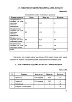 Referāts 'Biznesa plāna izstrādāšana jaundibinātam uzņēmumam SIA "Nice"', 41.
