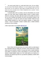 Referāts 'Garīgums kā mijiedarbības līdzeklis', 8.