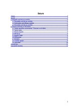 Referāts 'Tūrisma ceļojumi kā darbinieku motivēšanas sistēmas elements', 2.