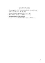 Referāts 'Tūrisma ceļojumi kā darbinieku motivēšanas sistēmas elements', 12.