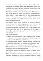 Prakses atskaite 'Prakse IU "Vucen"', 9.