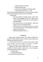 Referāts 'Menedžmenta pamatfunkcijas un to pielietojums praksē', 10.