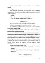 Referāts 'Menedžmenta pamatfunkcijas un to pielietojums praksē', 13.