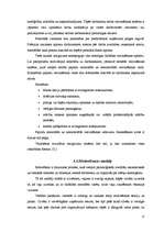 Referāts 'Menedžmenta pamatfunkcijas un to pielietojums praksē', 17.