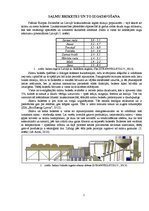 Referāts 'Salmi - perspektīvs kurināmais Latvijā', 5.