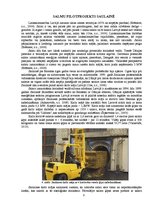 Referāts 'Salmi - perspektīvs kurināmais Latvijā', 8.