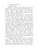 Referāts 'Pusaudža pašizjūta ', 19.