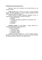 Konspekts 'Lietvedība', 3.