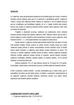 Prakses atskaite 'Uzņēmuma "X" finanšu analīze', 3.