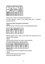 Prakses atskaite 'Uzņēmuma "X" finanšu analīze', 14.