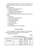 Biznesa plāns 'SIA "5 plus"', 5.