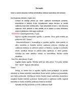 Biznesa plāns 'SIA "5 plus"', 7.