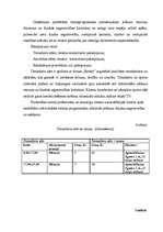 Biznesa plāns 'SIA "5 plus"', 9.