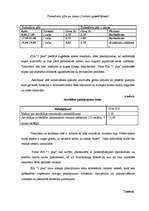 Biznesa plāns 'SIA "5 plus"', 10.