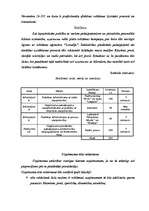 Biznesa plāns 'SIA "5 plus"', 17.