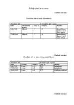 Biznesa plāns 'SIA "5 plus"', 28.