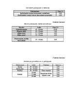 Biznesa plāns 'SIA "5 plus"', 29.