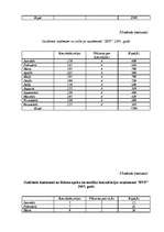 Biznesa plāns 'SIA "5 plus"', 32.