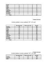 Biznesa plāns 'SIA "5 plus"', 33.