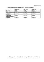 Biznesa plāns 'SIA "5 plus"', 38.