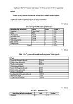 Biznesa plāns 'SIA "5 plus"', 45.