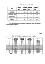 Biznesa plāns 'SIA "5 plus"', 47.