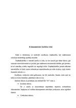 Biznesa plāns 'SIA "5 plus"', 48.