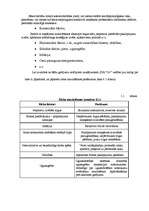 Biznesa plāns 'SIA "5 plus"', 49.