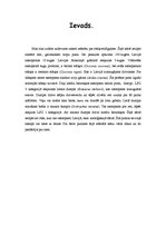 Referāts 'Stārķveidīgie', 1.