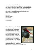 Referāts 'Stārķveidīgie', 4.