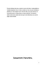 Referāts 'Stārķveidīgie', 8.