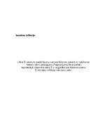 Referāts 'Inflācija', 6.