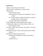 Referāts 'Inflācija', 23.