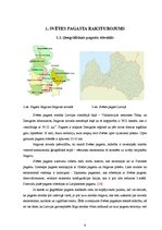 Referāts 'Ilgtspējīgas energoapgādes iespējas Svētes pagastā', 9.