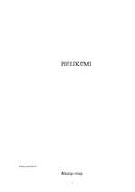 Referāts 'Nodarbība pirmsskolas vecuma bērniem', 5.